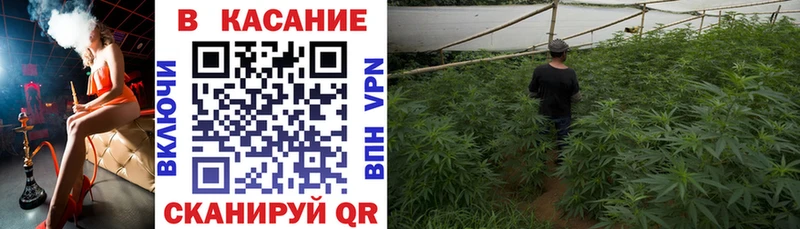 Купить наркотик аптеки Боровичи Амфетамин  Меф  Каннабис  Alpha PVP 