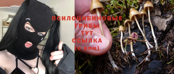 mdpv Надым
