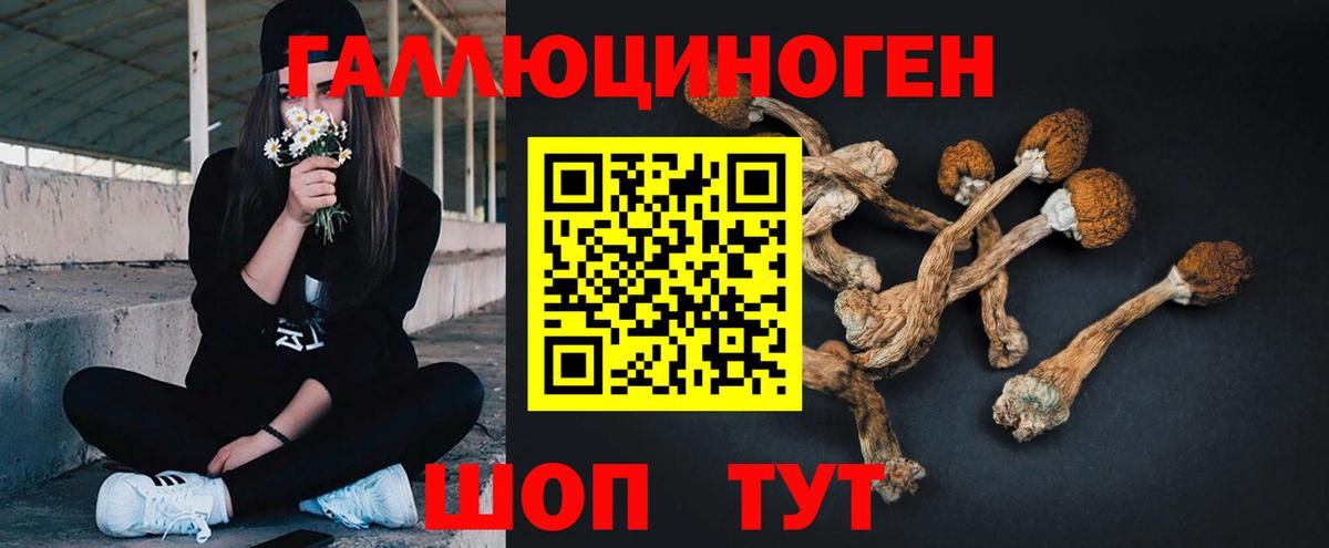 Галлюциногенные грибы прущие грибы Боровичи